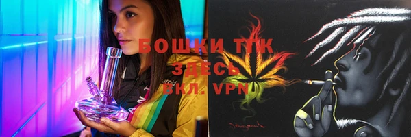 PSILOCYBIN Богданович