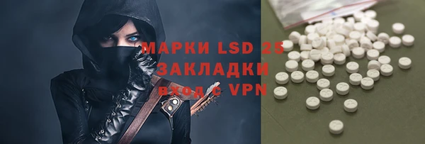 PSILOCYBIN Богданович