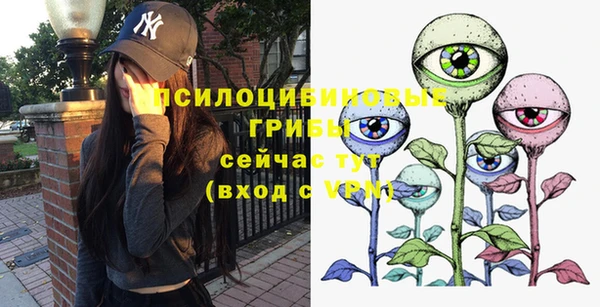 винт Богородицк