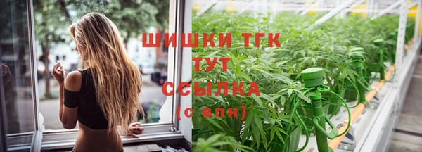 PSILOCYBIN Богданович