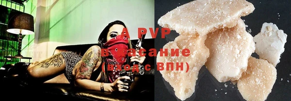 PSILOCYBIN Богданович