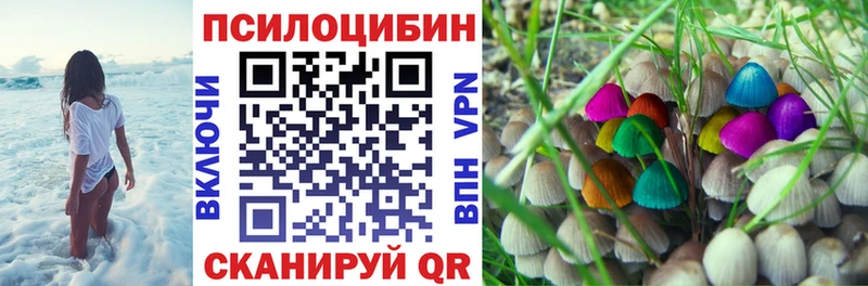Псилоцибиновые грибы мухоморы  гидра   darknet какой сайт  Ейск 